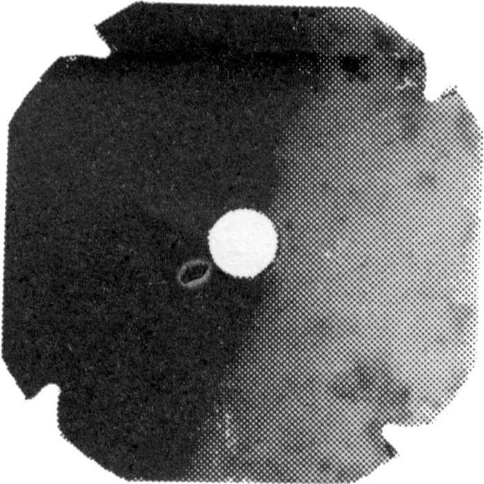 PO340-205